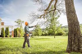 Reliable Pinecrest, FL Tree Removal Solutions